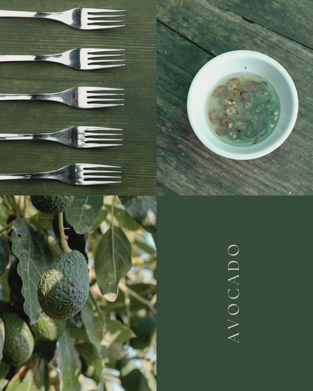 Avocado